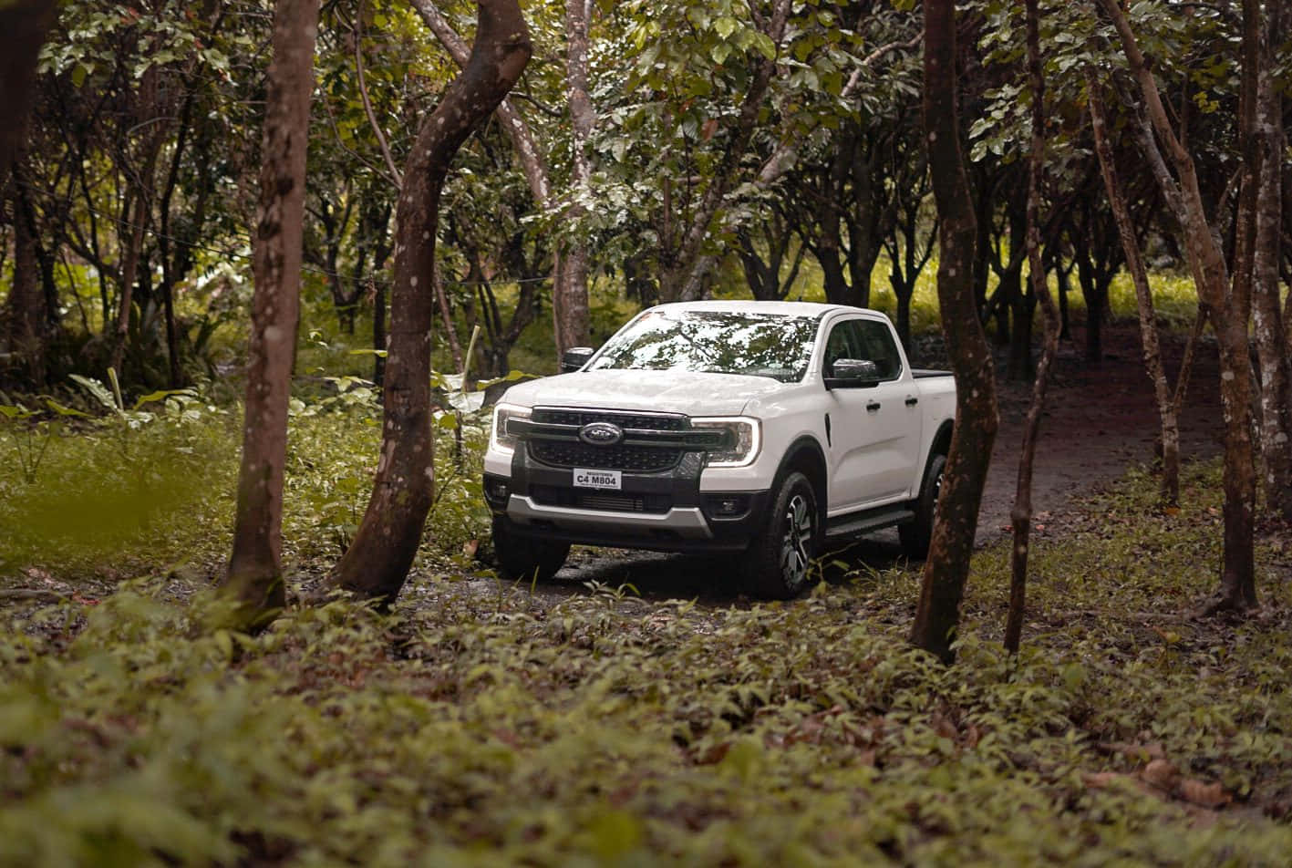 A White Truck Driving Through A Forest
