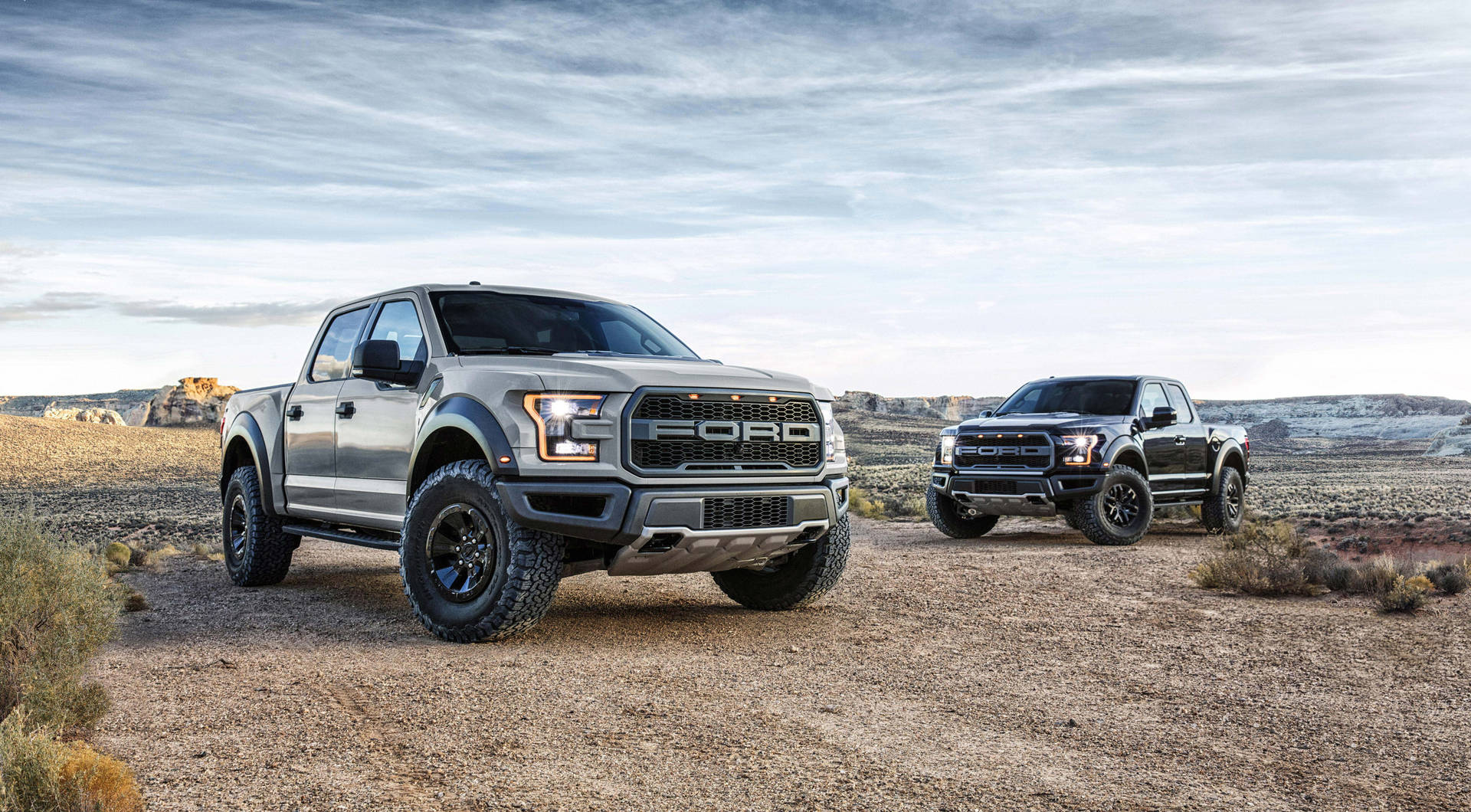 Ford Raptor F-150 Picture