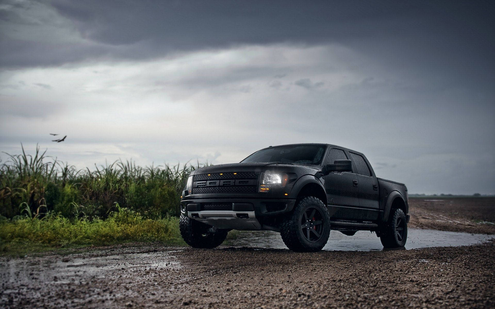 Ford Raptor In Glossy Black Paint Wallpaper