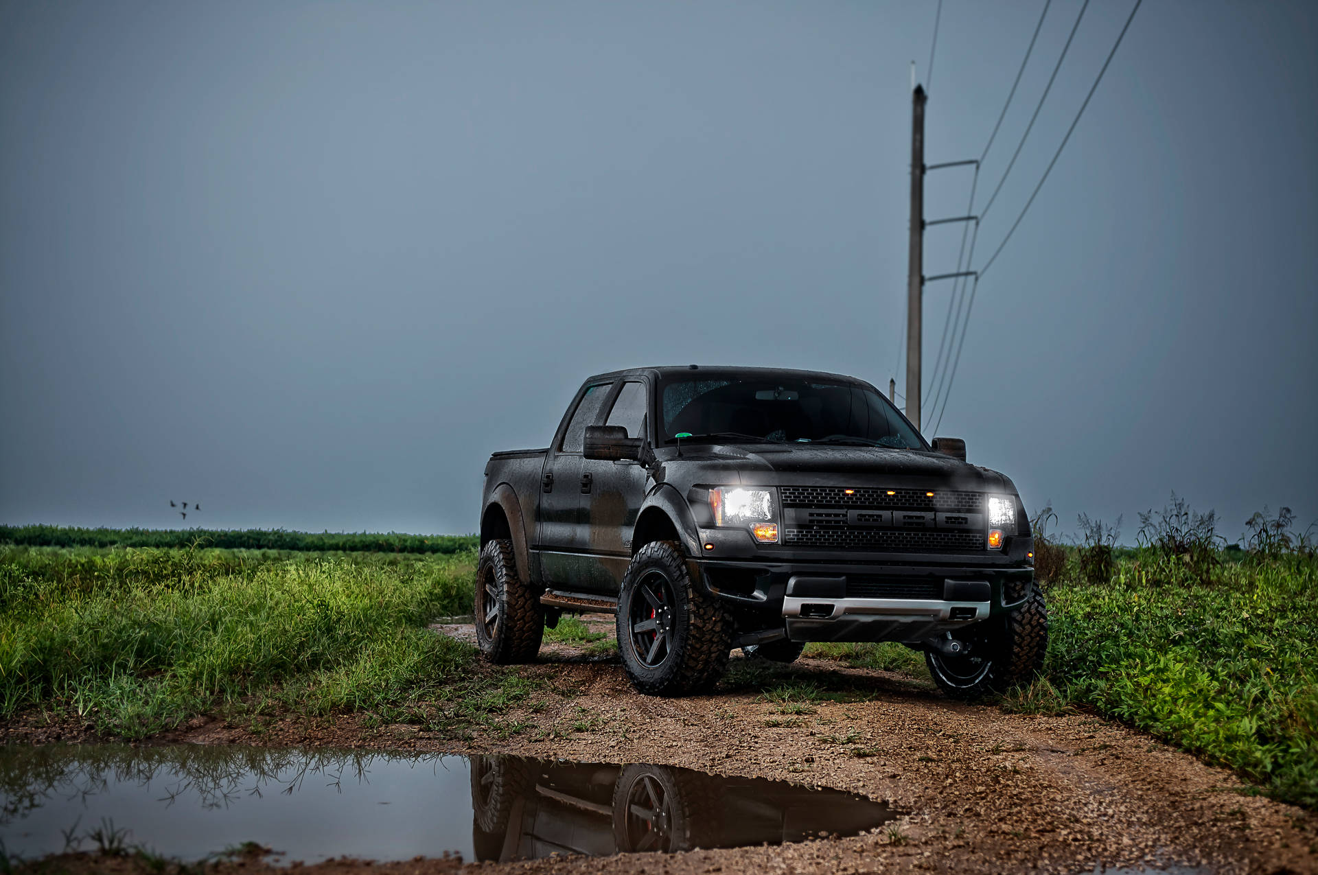 Ford Raptor In Jet Black Paint Picture