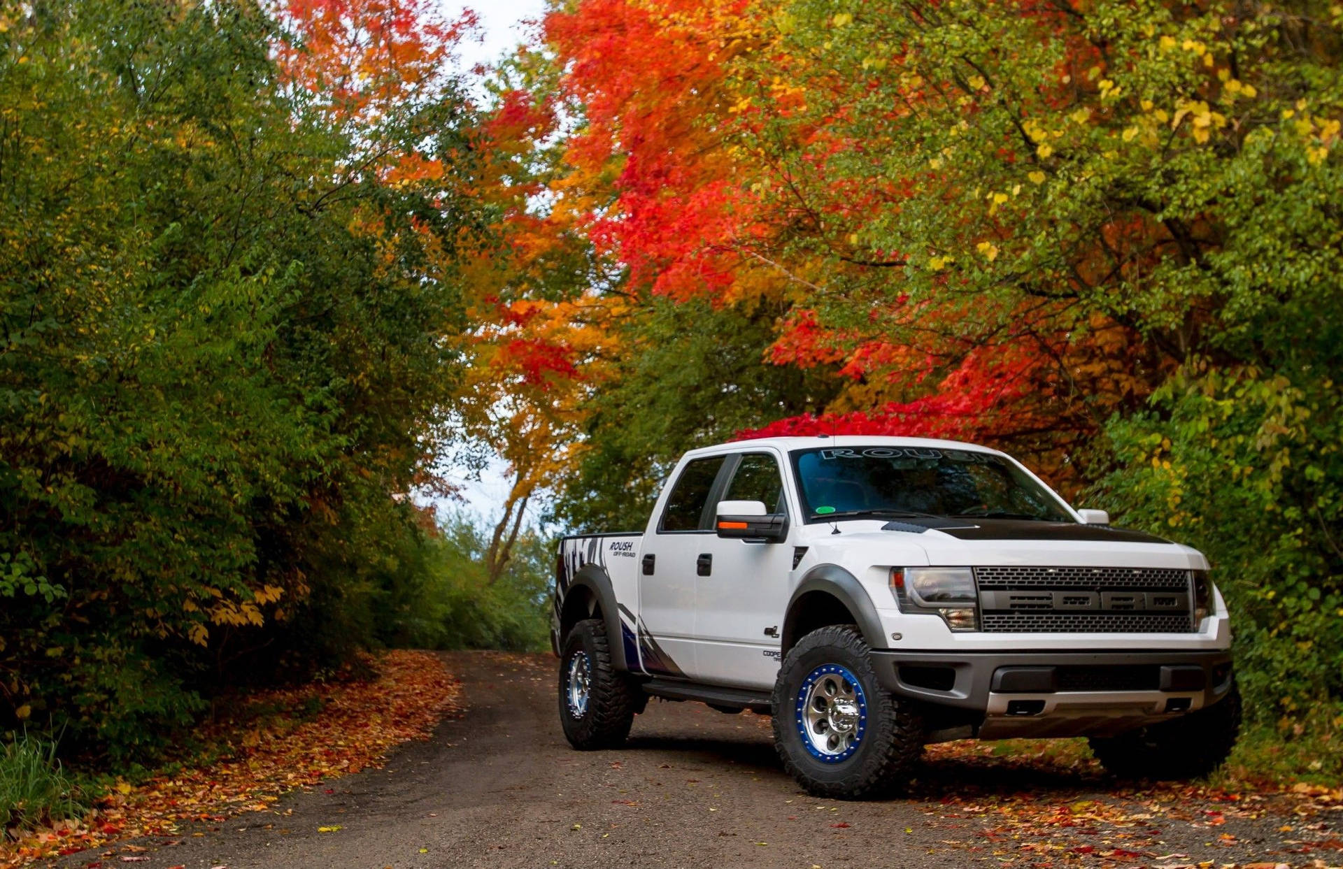 Ford Raptor In Secluded Road Background
