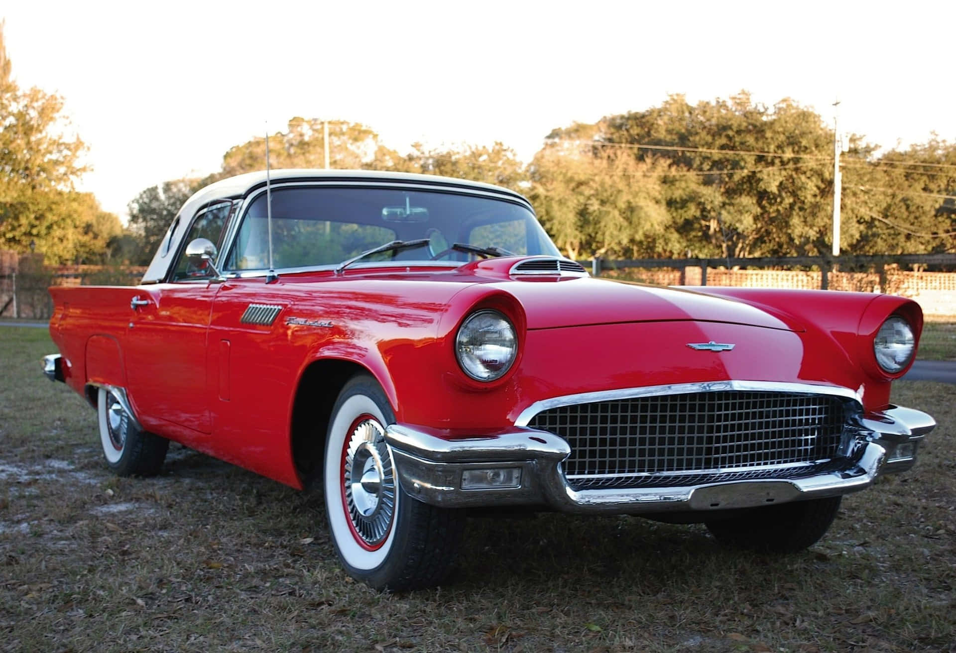 1957 ford thunderbird