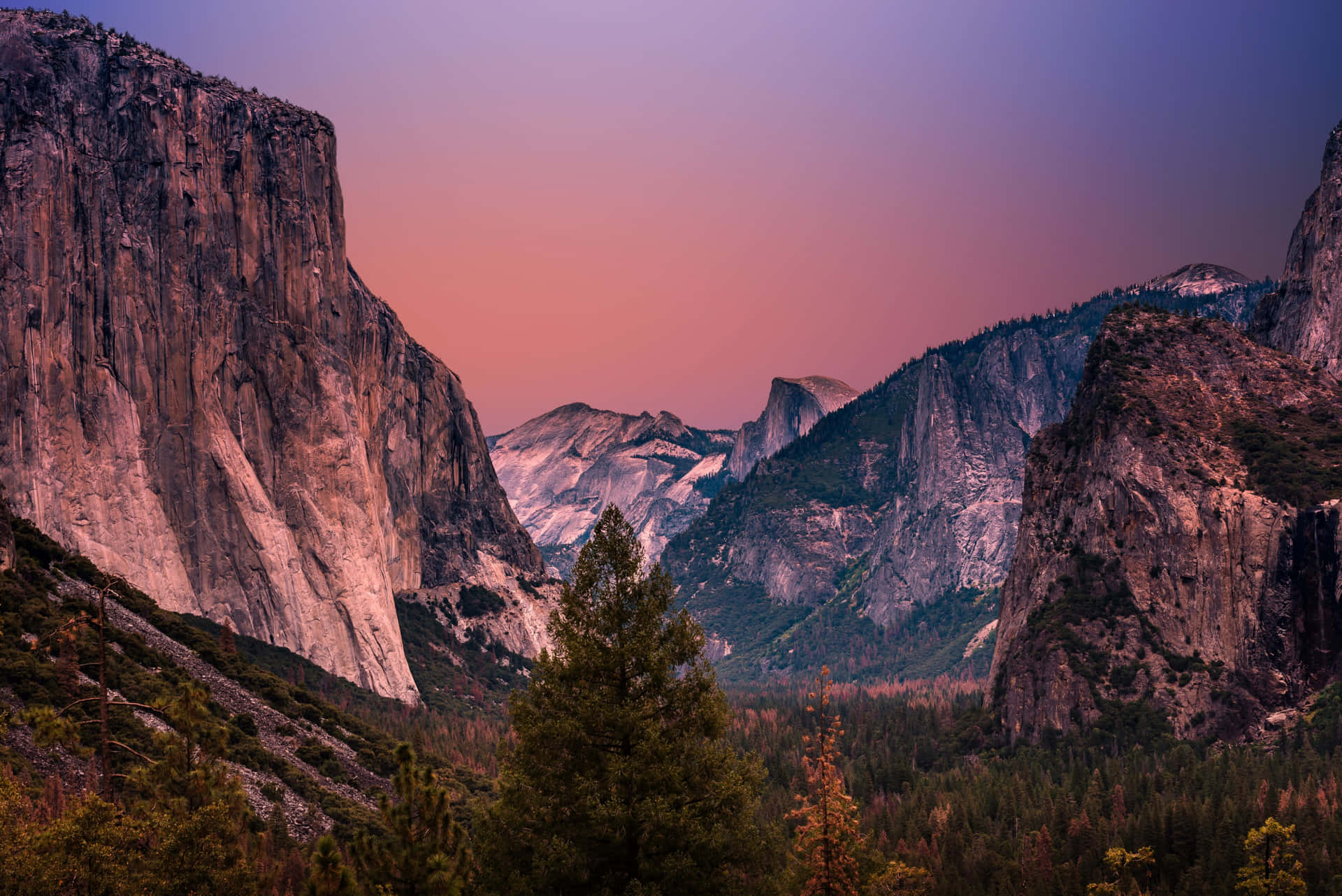 Nature’s Perfect Balance: Flourishing Foreground, Peaceful Middleground, and Subtle Background