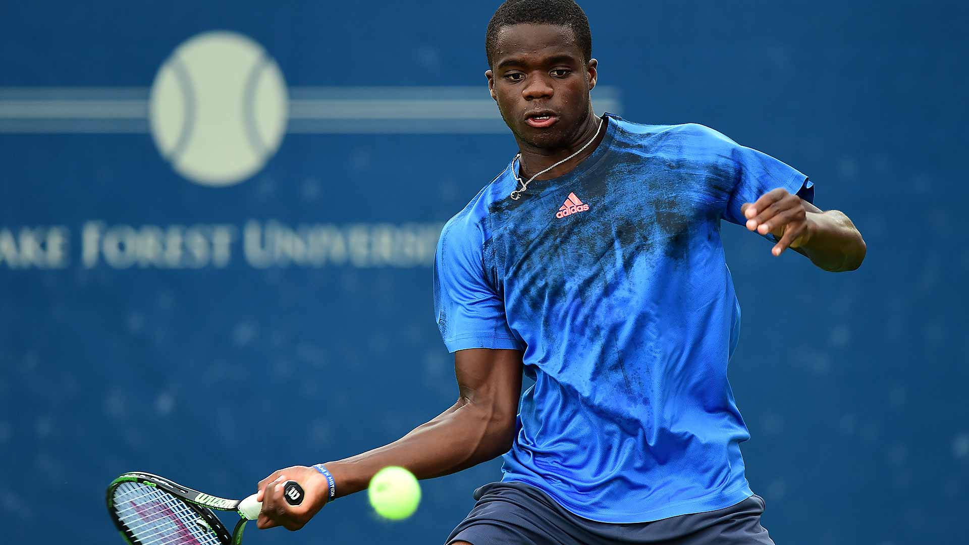 Forehand Volley Frances Tiafoe Wallpaper