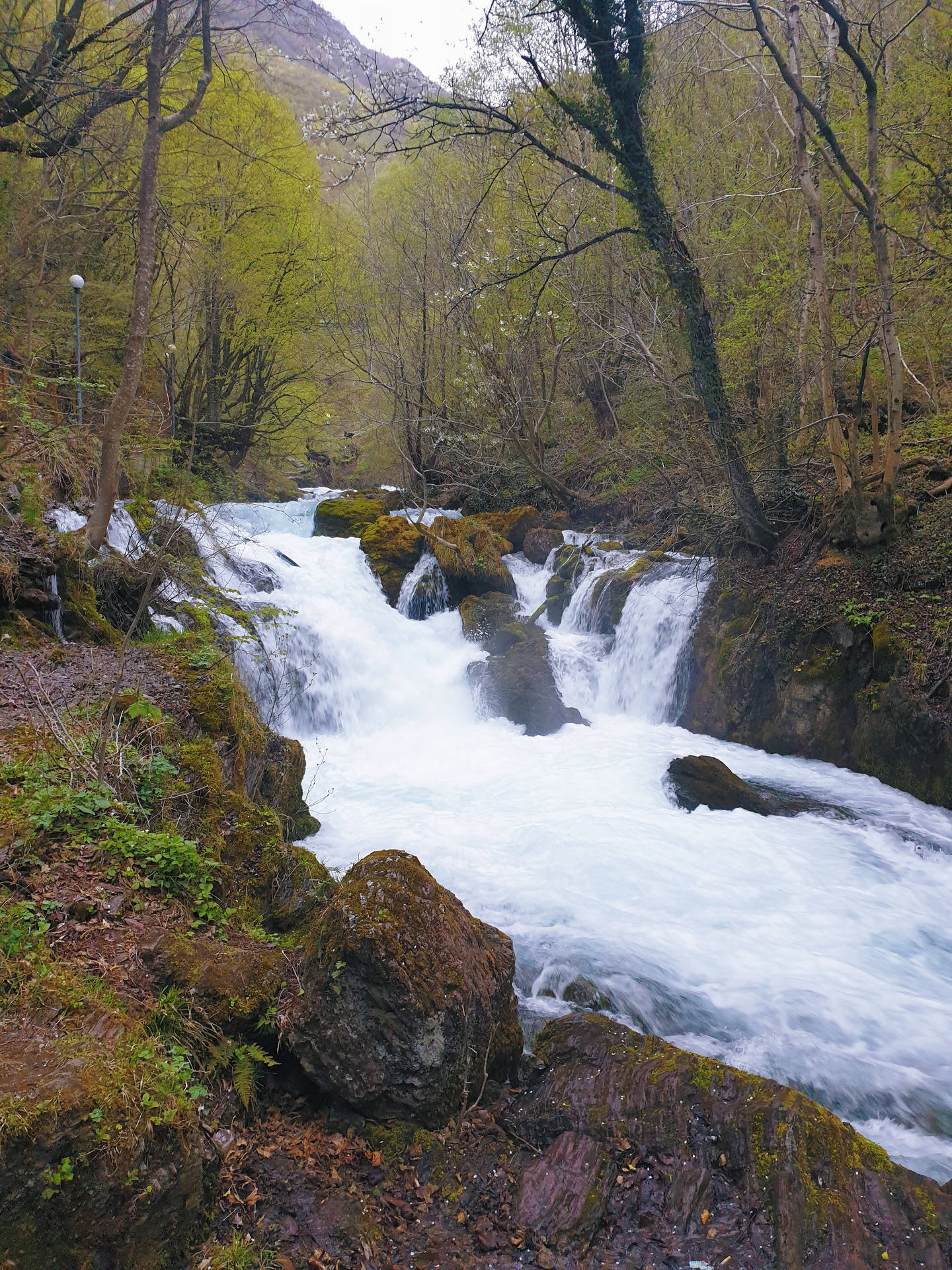 Forest And Falls In Kosovo