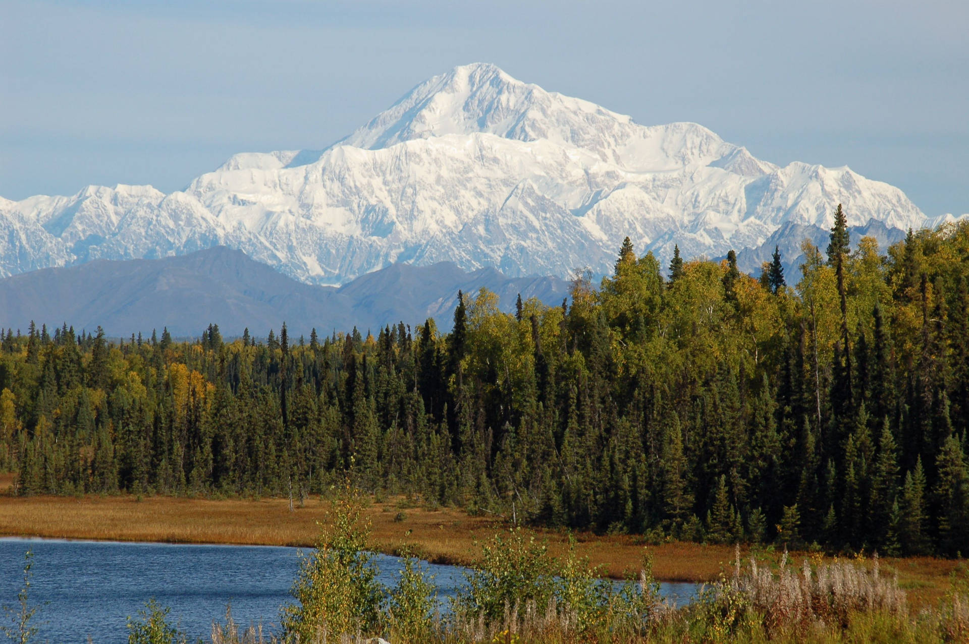 Forest And Lake Denali Mountains Wallpaper