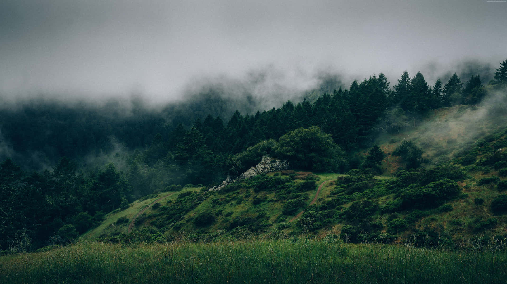 Einberg Mit Bäumen Und Nebel Im Hintergrund