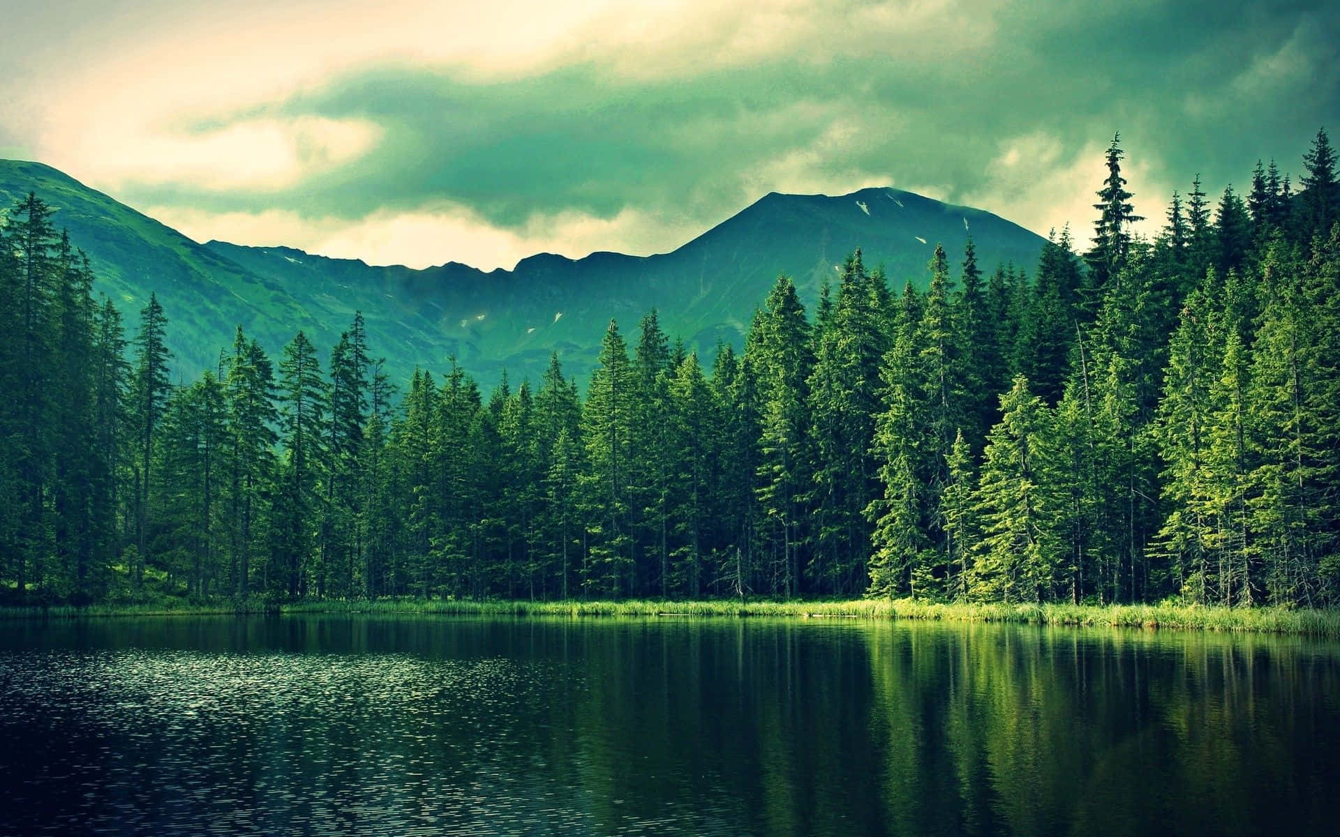 a lake surrounded by trees and mountains
