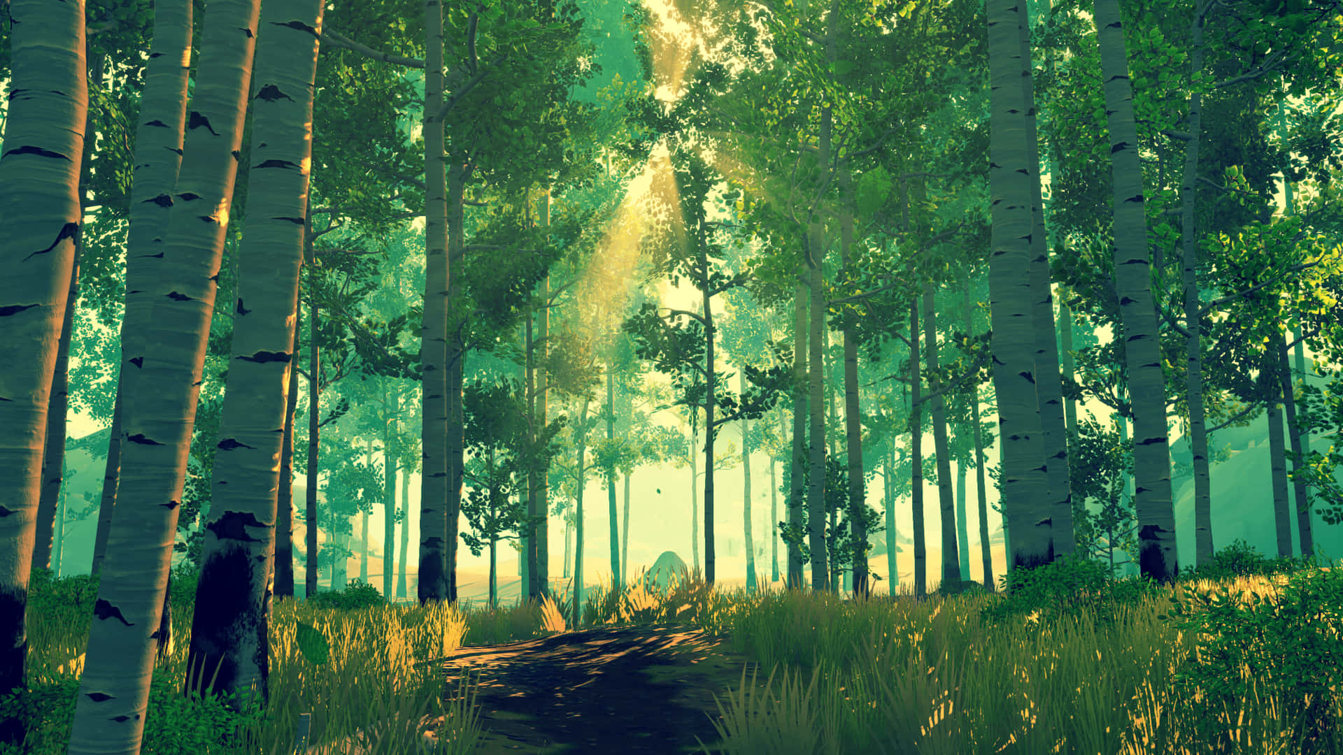 a forest with trees and sunlight