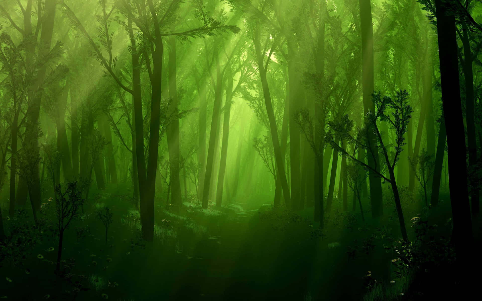 Eingrüner Wald Mit Sonnenlicht, Das Durch Die Bäume Scheint.