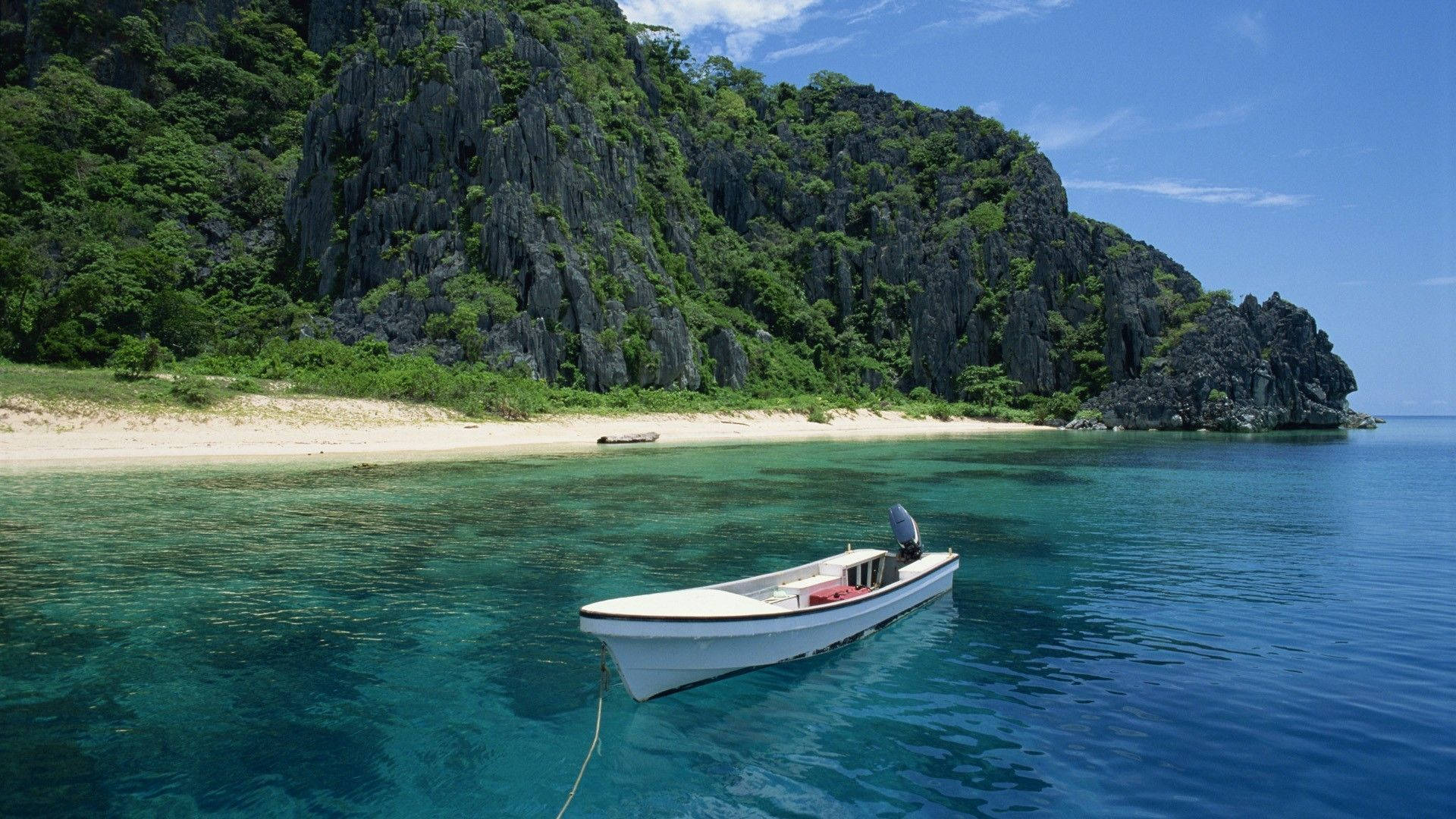 Forest Beach In Palawan Philippines Wallpaper