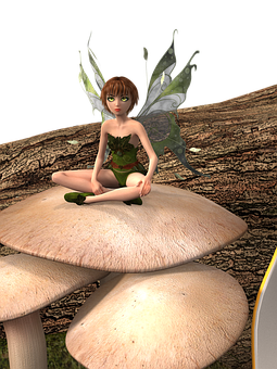 Forest Fairy Sittingon Mushroom.jpg PNG