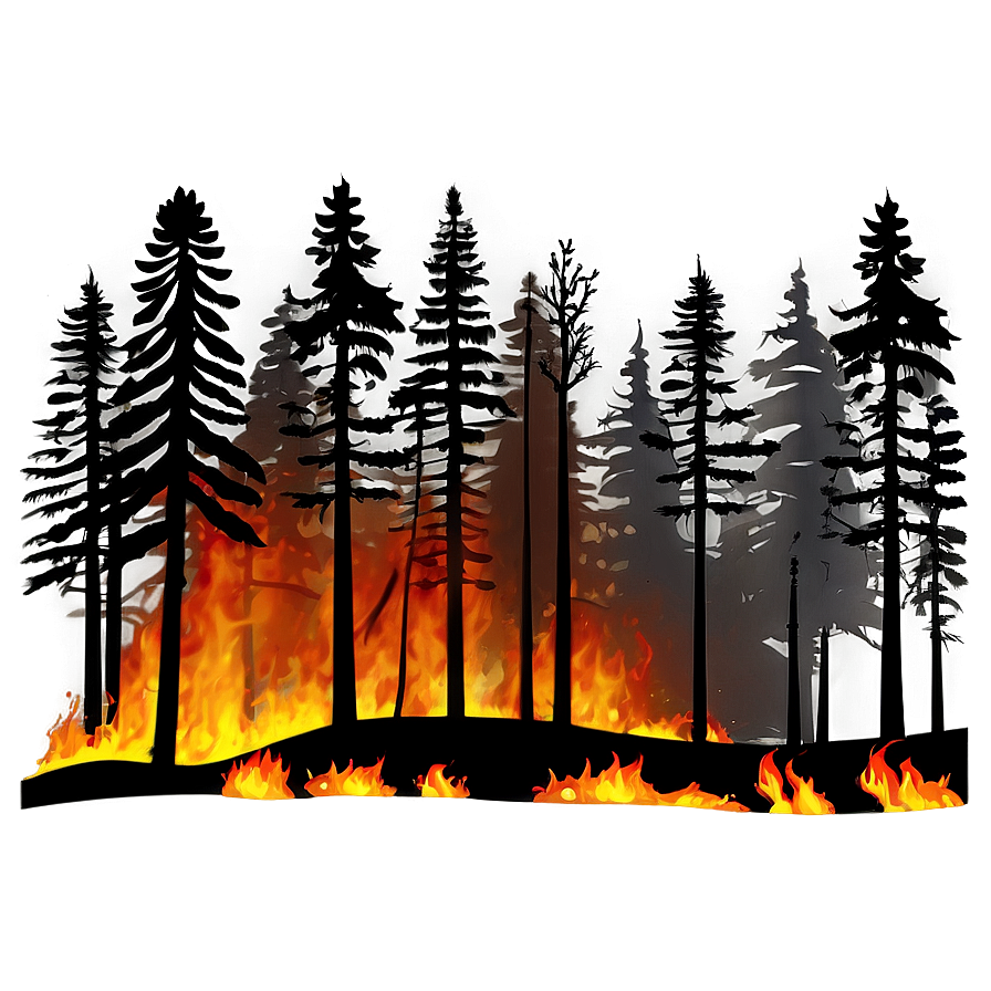 Forest Fire Night Png 20 PNG