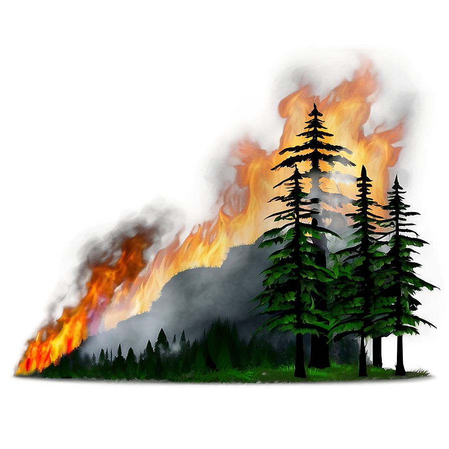 Forest Fire Night Png Vxq82 PNG