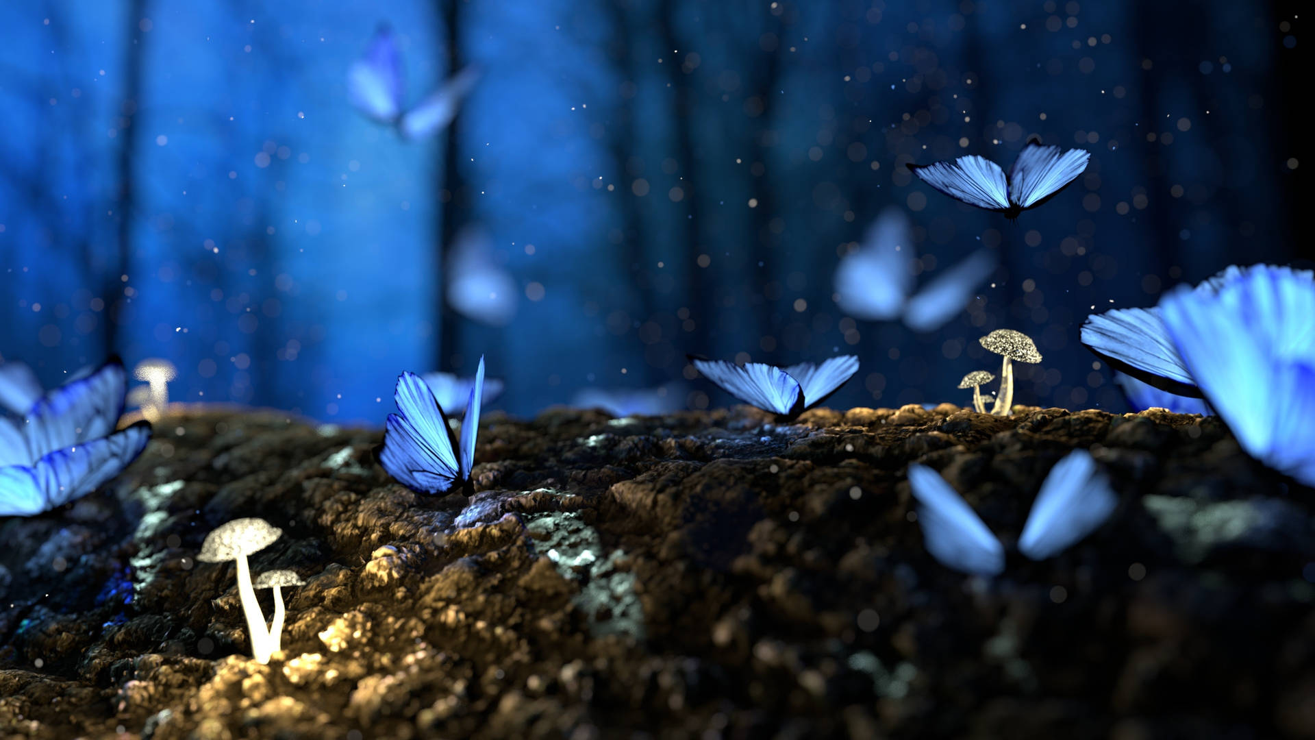 Suelodel Bosque De Noche Mariposa. Fondo de pantalla