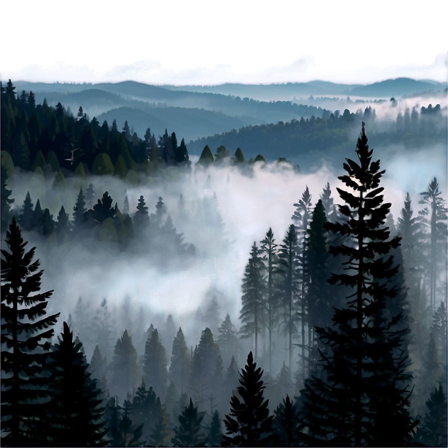 Forest Fog Transparent Png 4 PNG