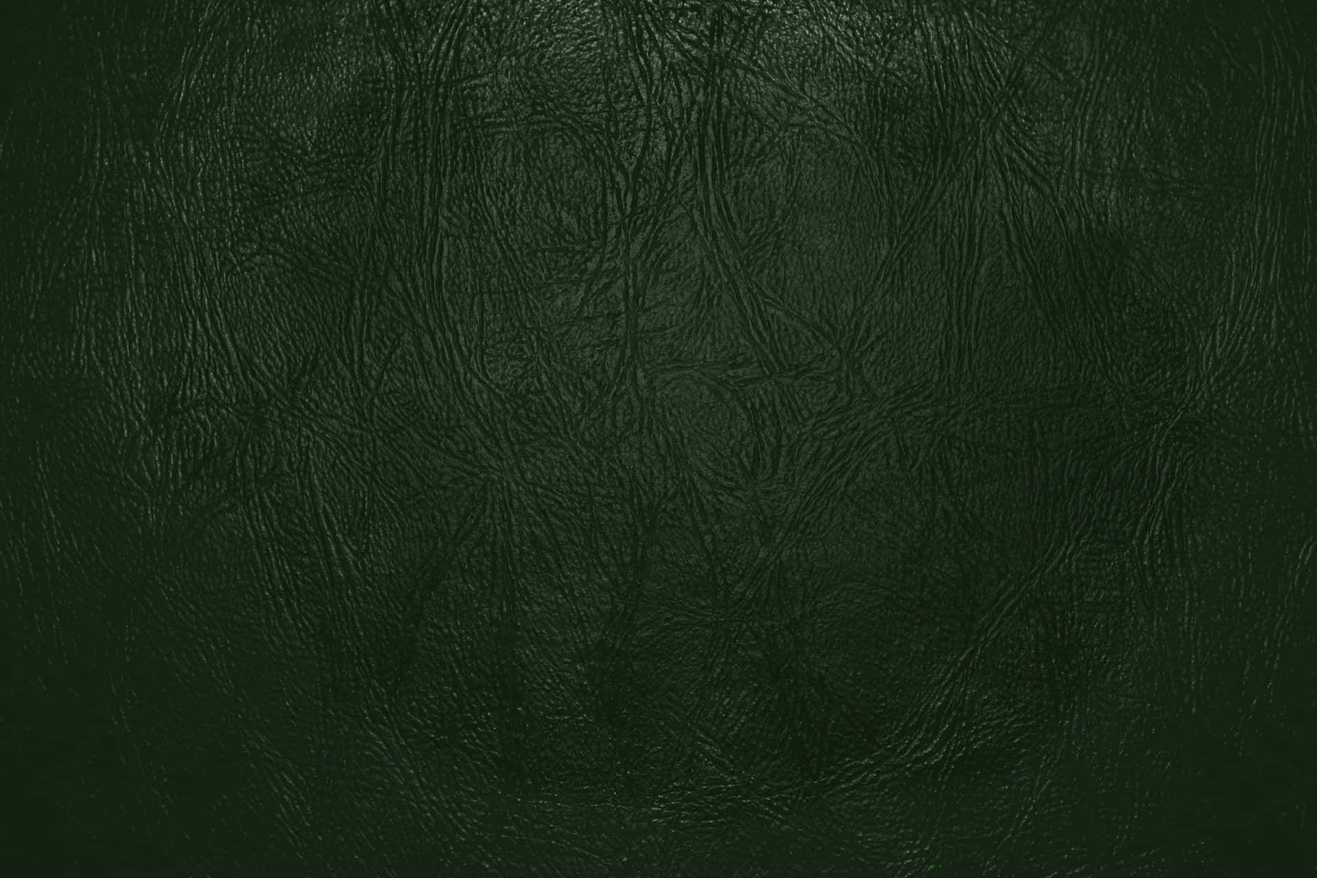 Dienatur Entfaltet Ihre Schönheit In Einem Faszinierenden Waldgrün. Wallpaper