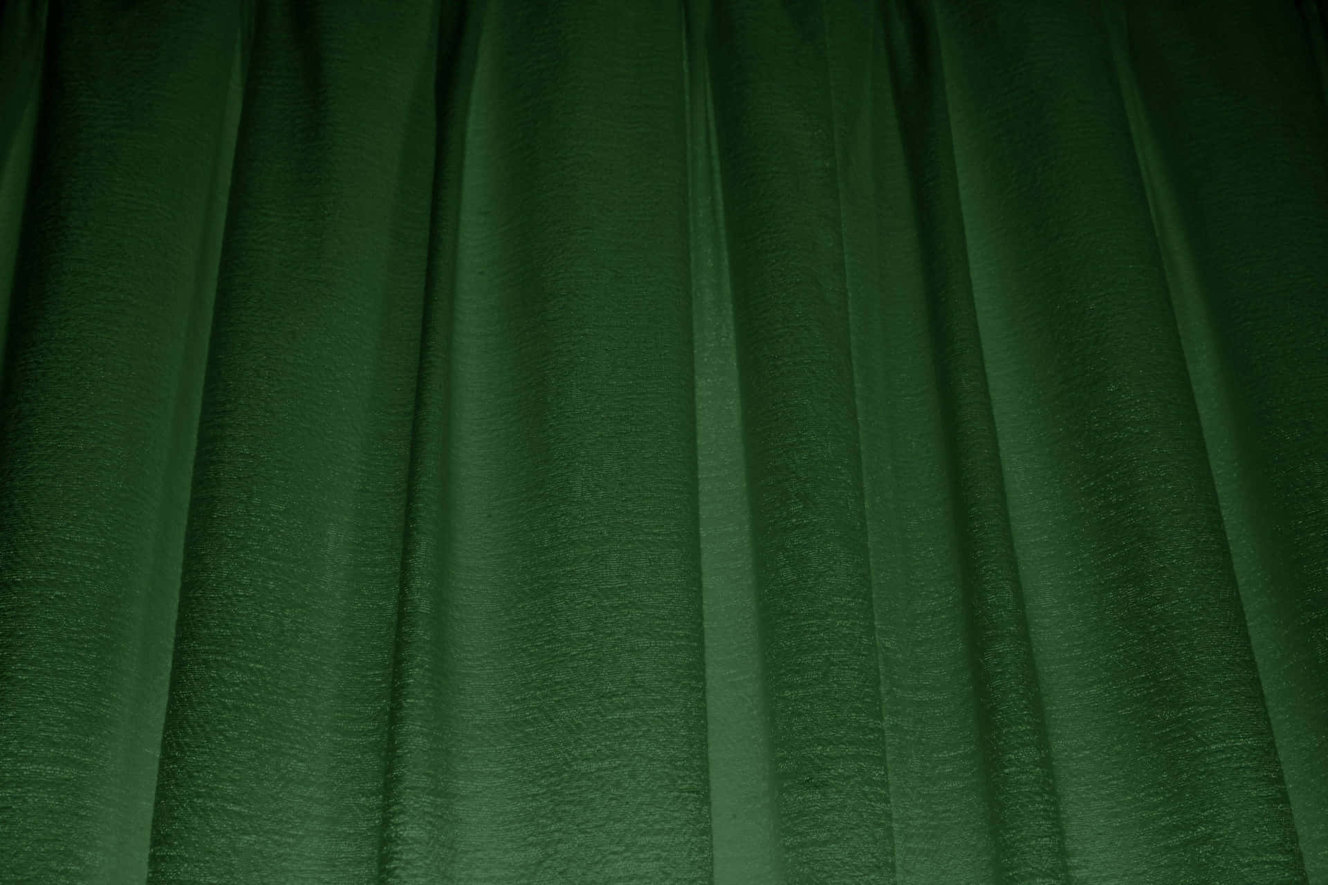 Green Forest Curtain Wallpaper