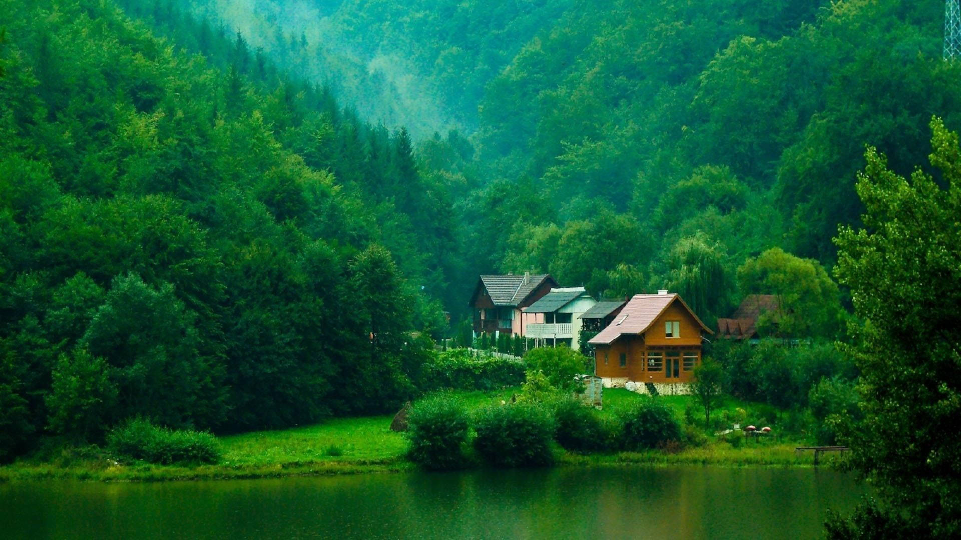 Forest Lake House Wallpaper