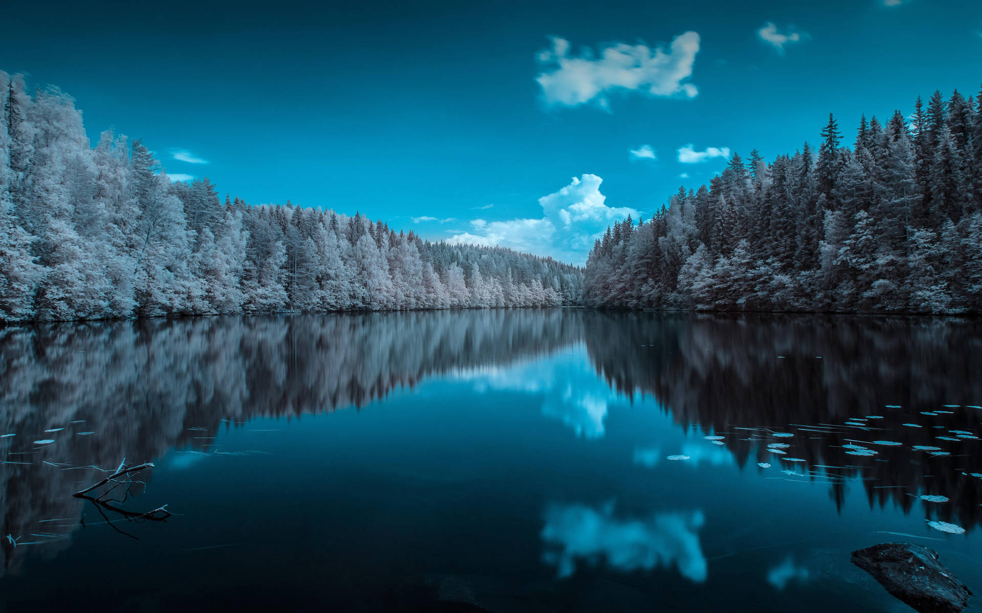 Forest Lake In Finland