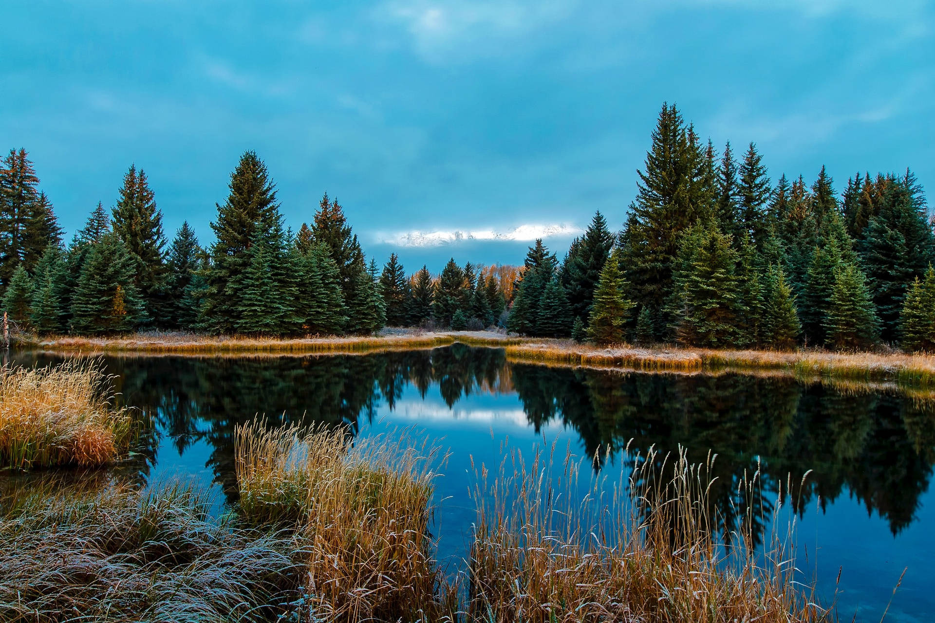 Foresta Lago Wyoming Sfondo