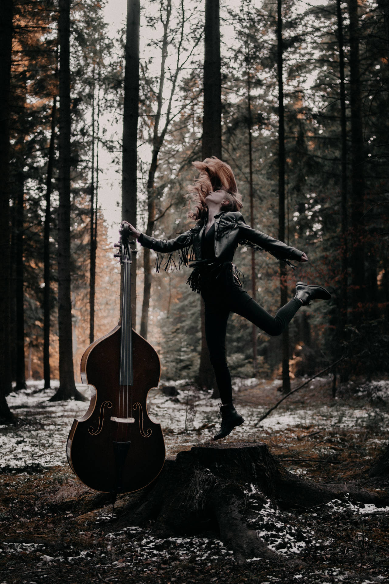 Forest Music Dance Cello.jpg SVG