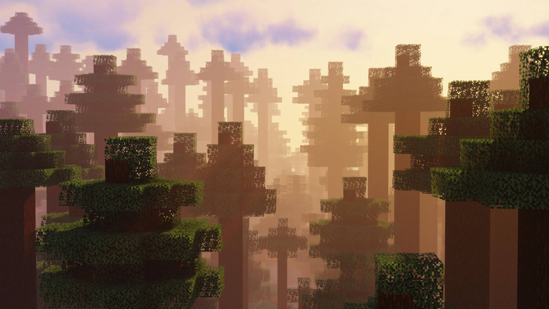 Forest Of Giant Trees 2560x1440 Minecraft Background