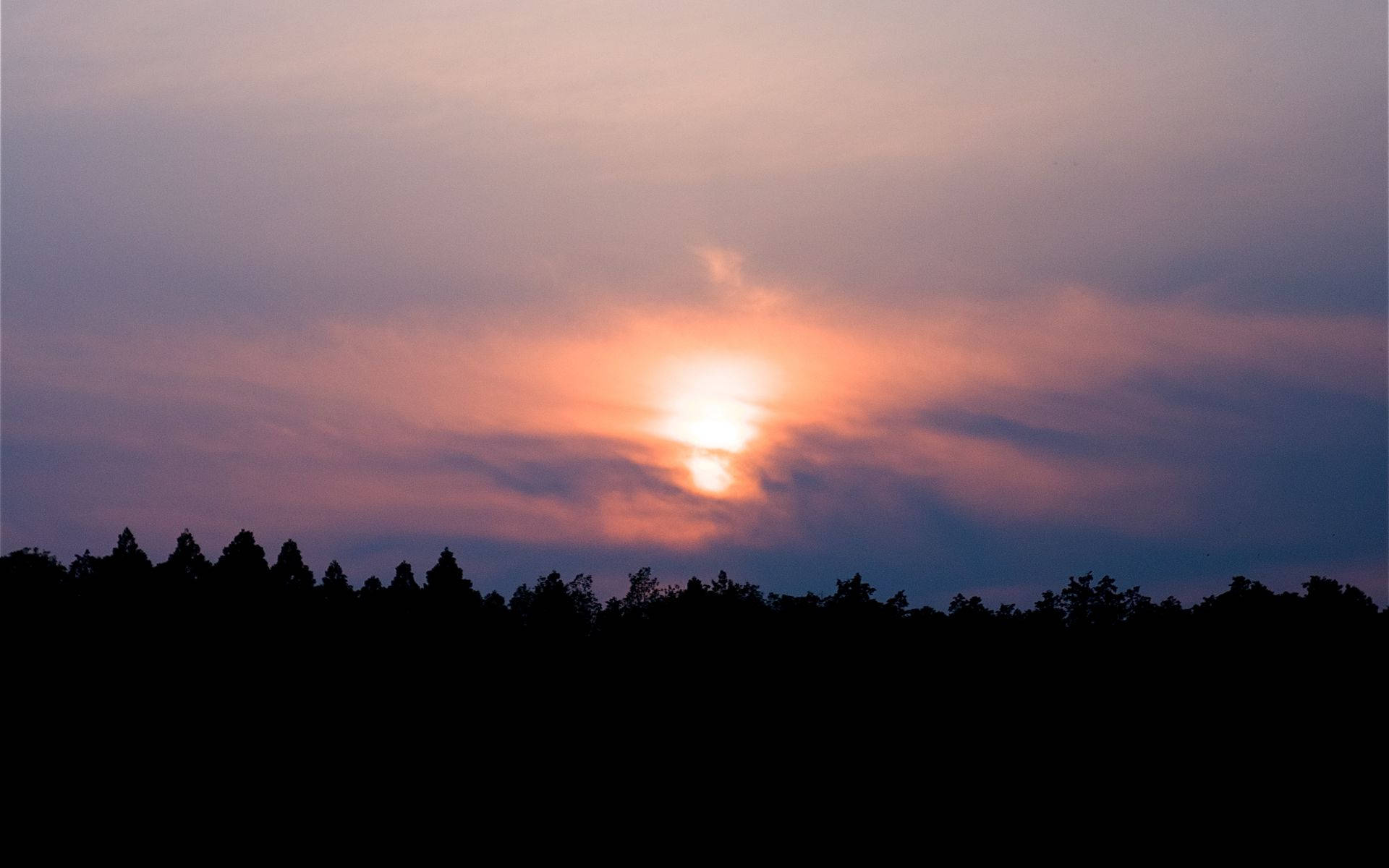 Waldsilhouette Sonnenuntergang Desktop Wallpaper