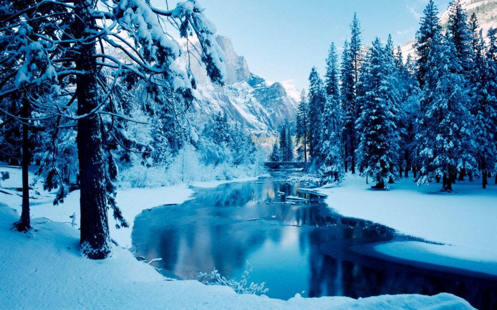 Forest Stream Vinter Desktop Wallpaper
