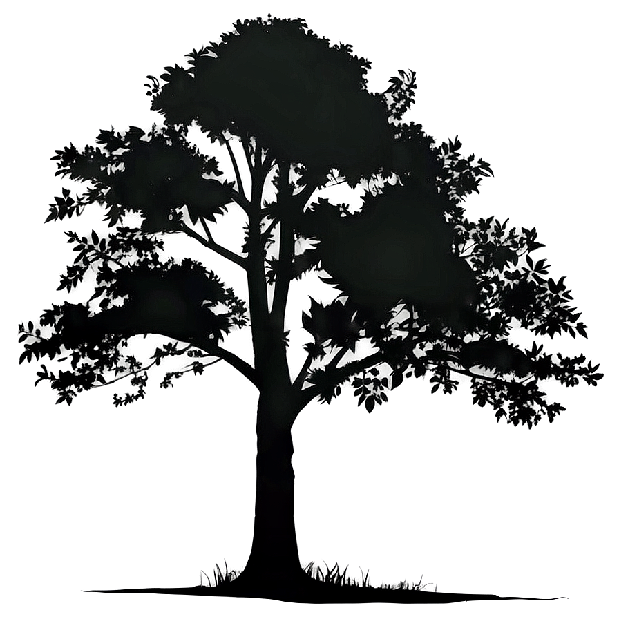 Download Forest Tree Silhouette Png 05252024 | Wallpapers.com