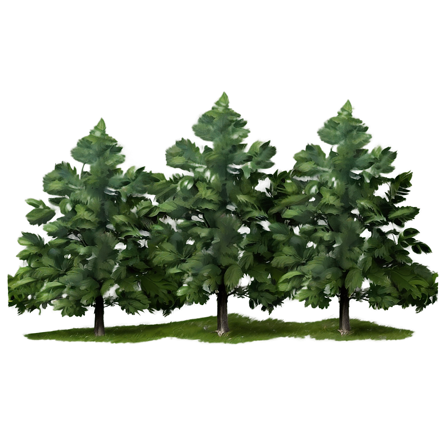 Forest Trees In Mist Png 22 PNG