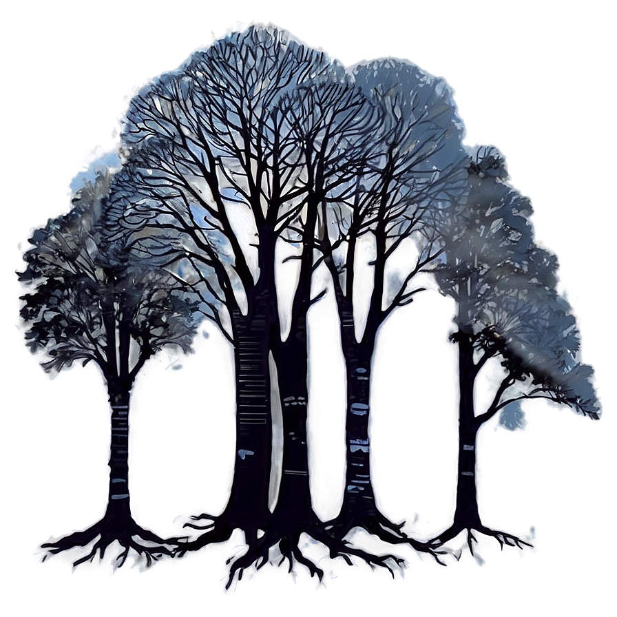 Forest Trees In Mist Png 26 PNG