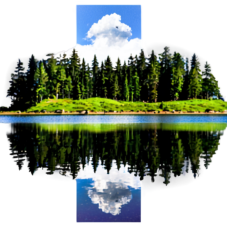 Forest Trees Reflection Lake Png Jwc80 PNG