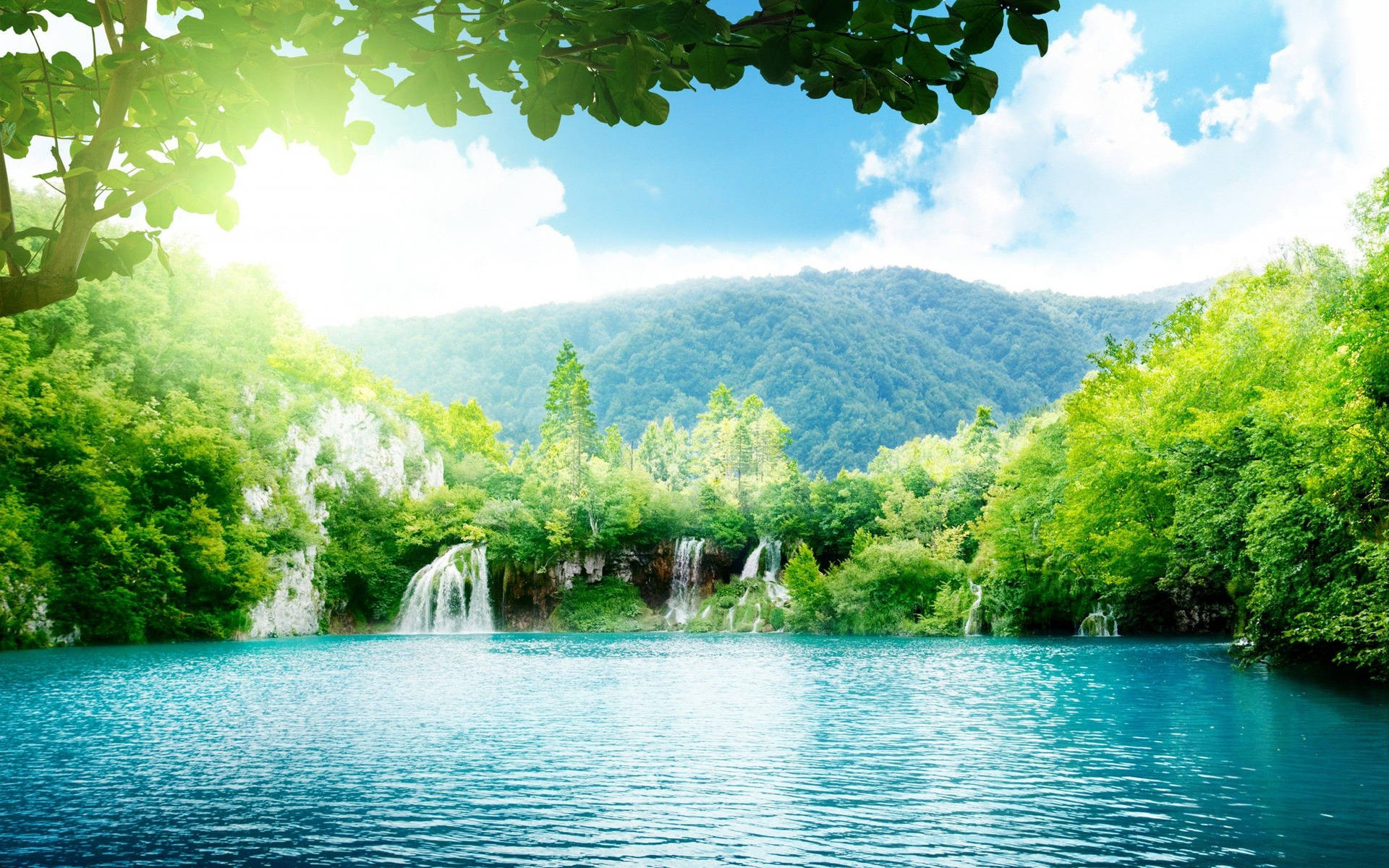 Rejuvenate Your Soul Under the Calm Falls of the Forest Wallpaper