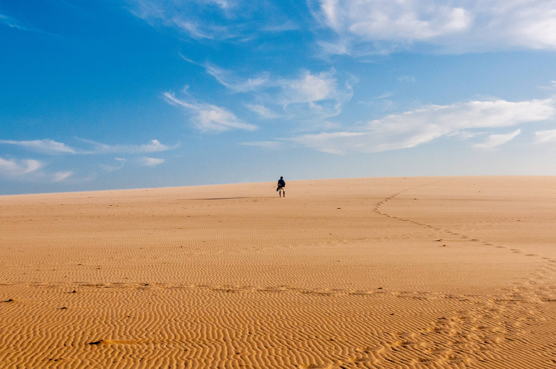 Personasiempre Sola En Un Desierto. Fondo de pantalla