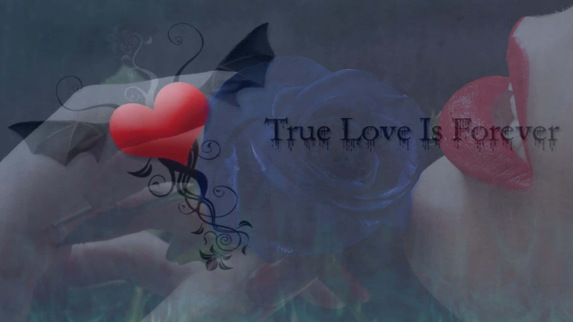 True Love Is Forever Wallpaper Wallpaper