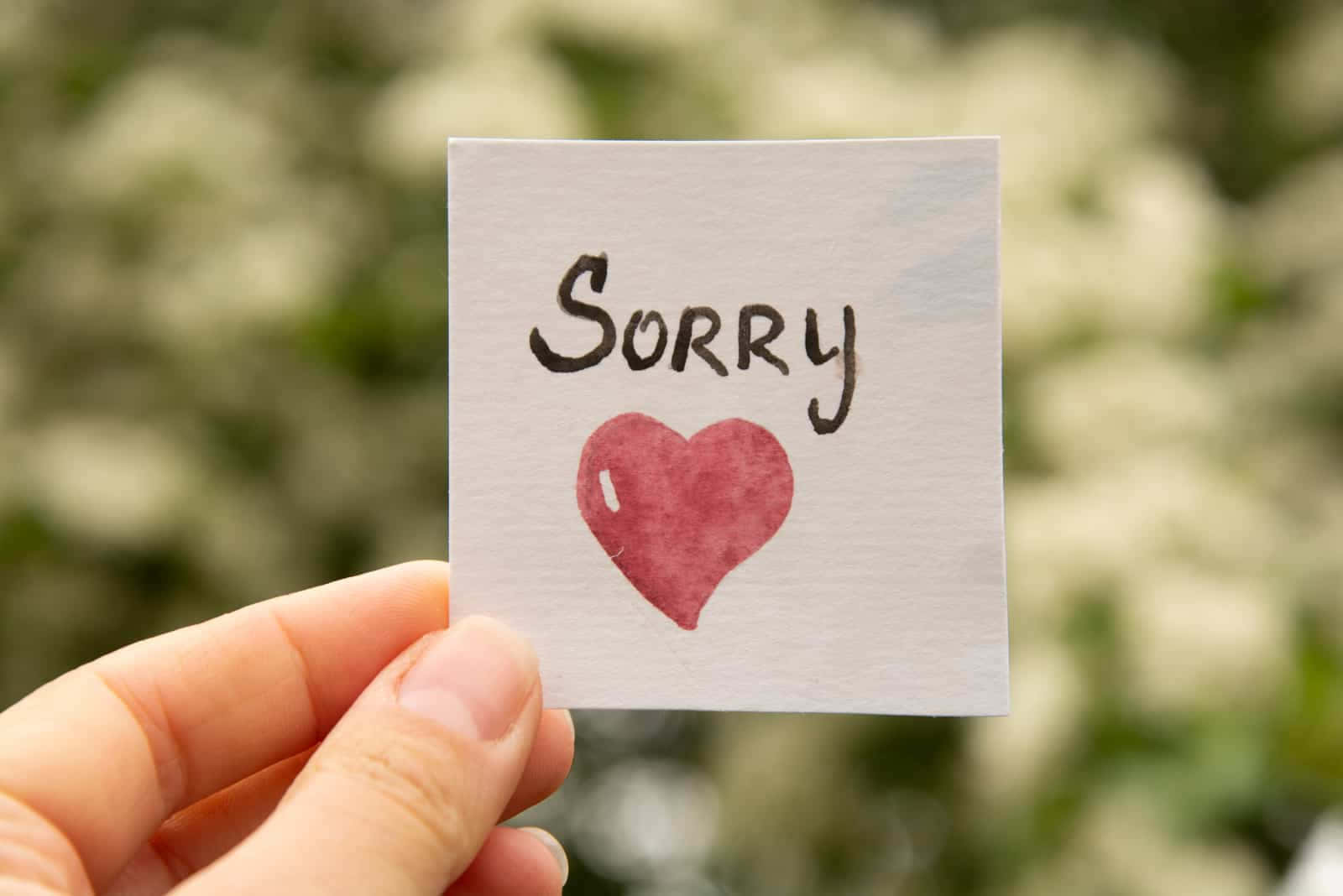A Person Holding Up A Card That Says Sorry