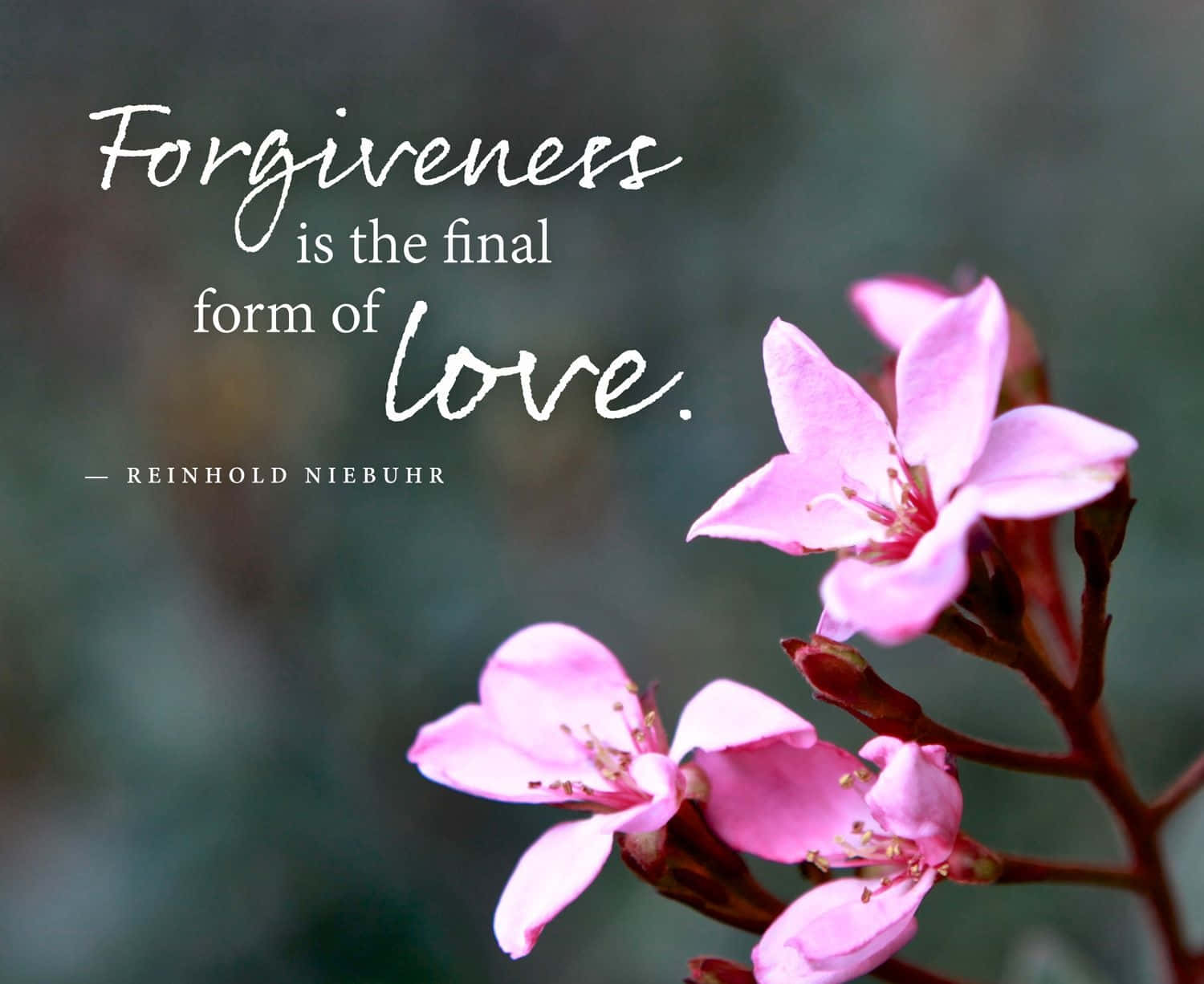 Forgiveness Is The Final Form Of Love
