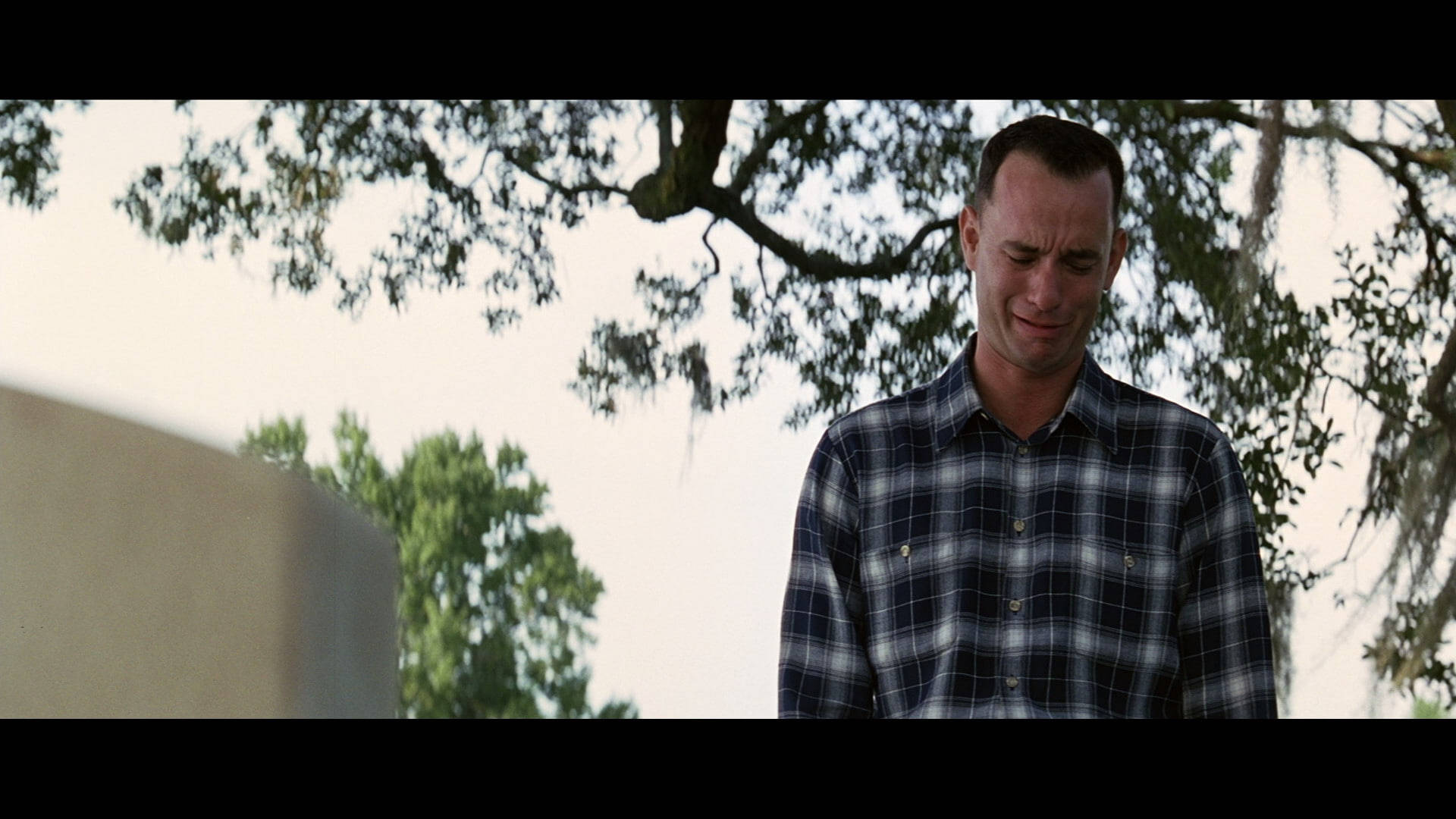 Forrest Gump Emotional And Crying Wallpaper