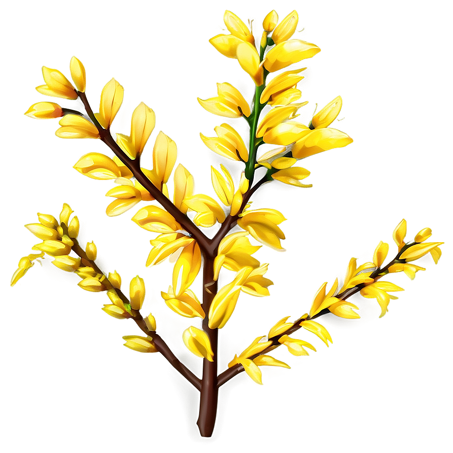 Forsythia Flower Bush Png Nnh PNG