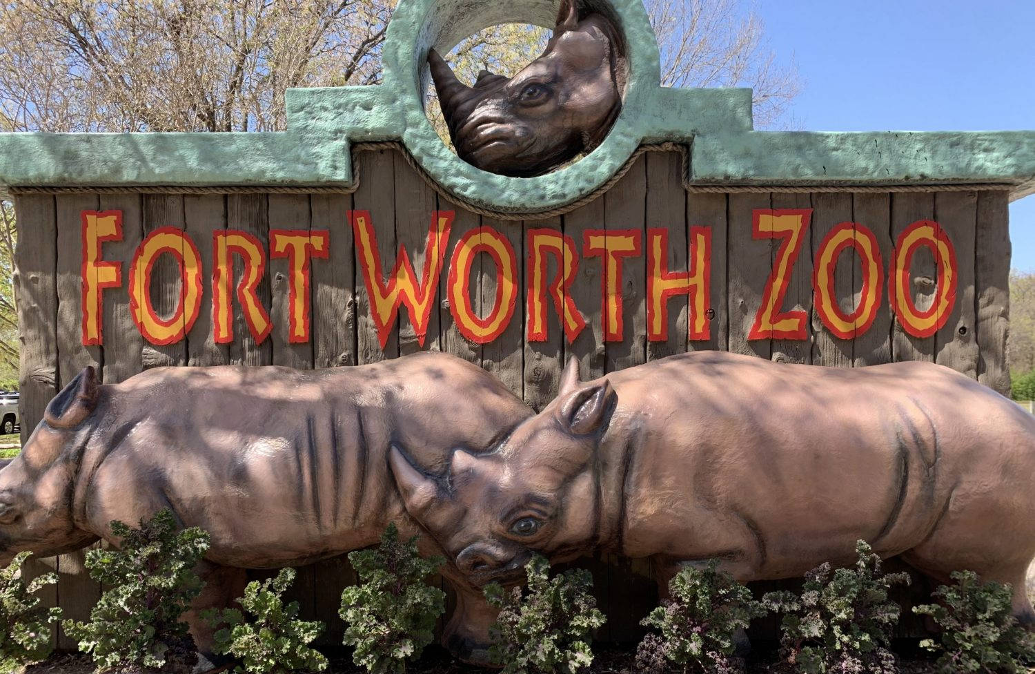 Wilder Vision Dello Zoo Di Fort Worth Sfondo