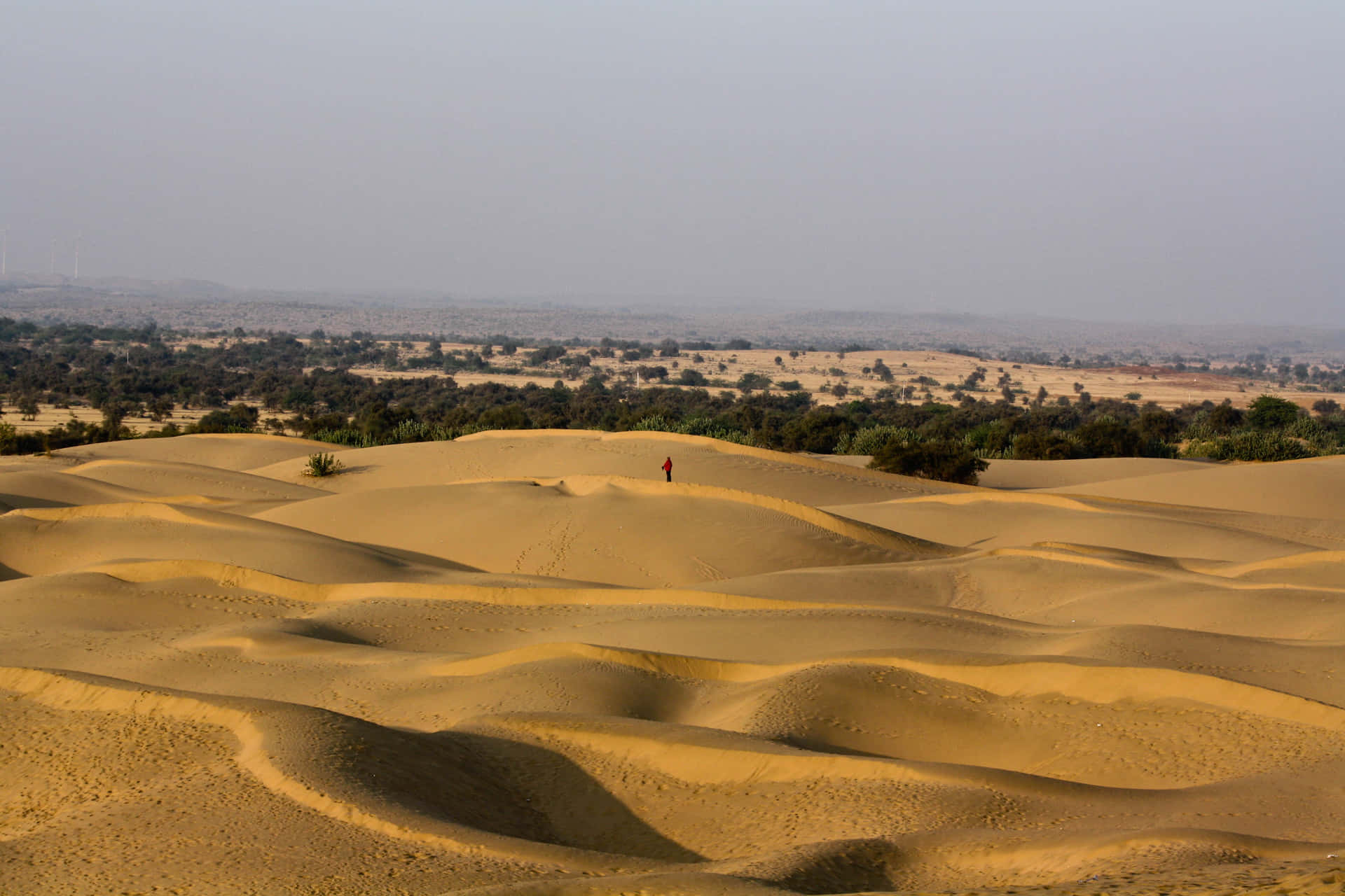 Fortalezamajestuosa De Rajasthan