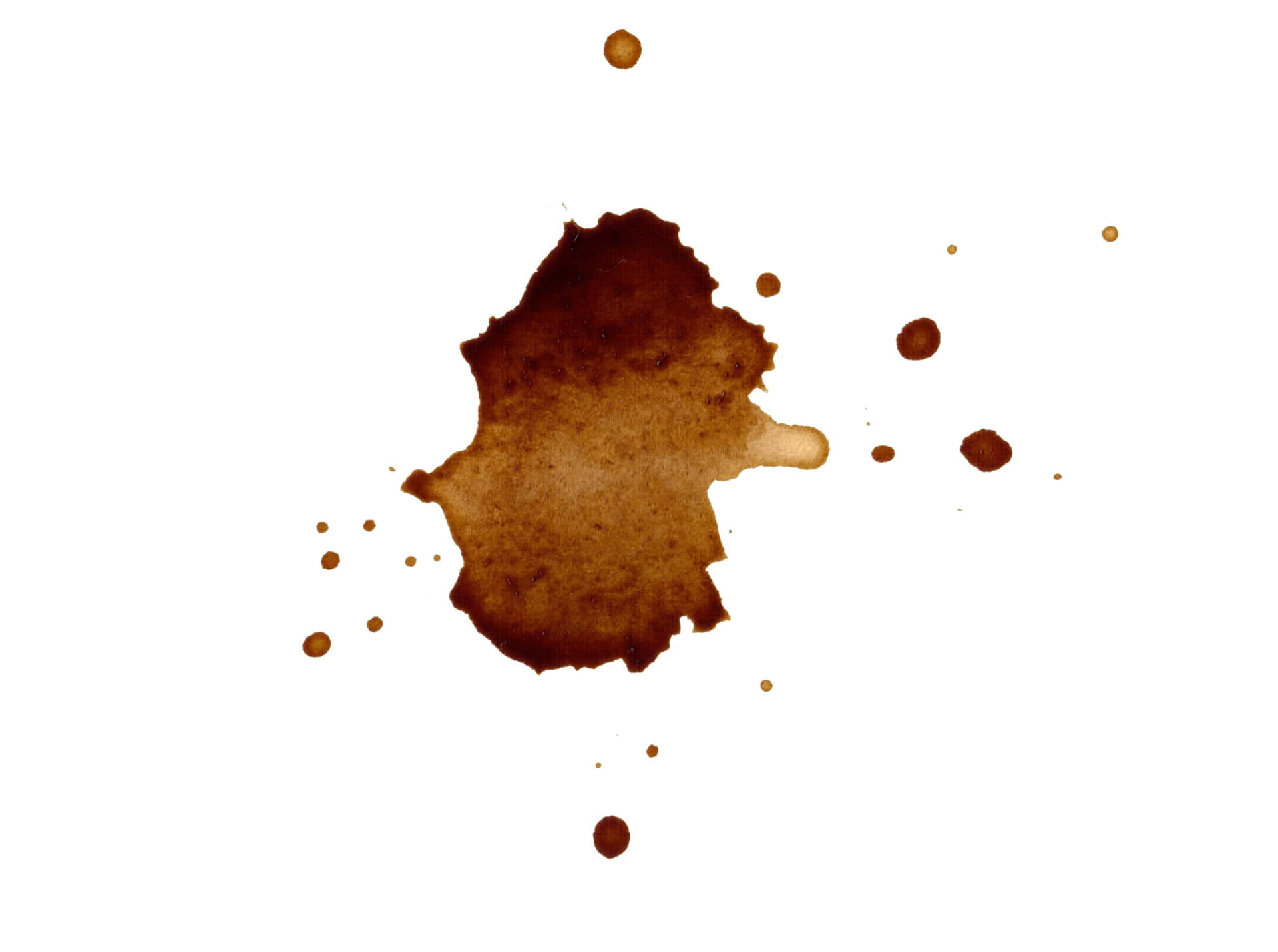 Fortuitous Coffee Drip Mark Wallpaper