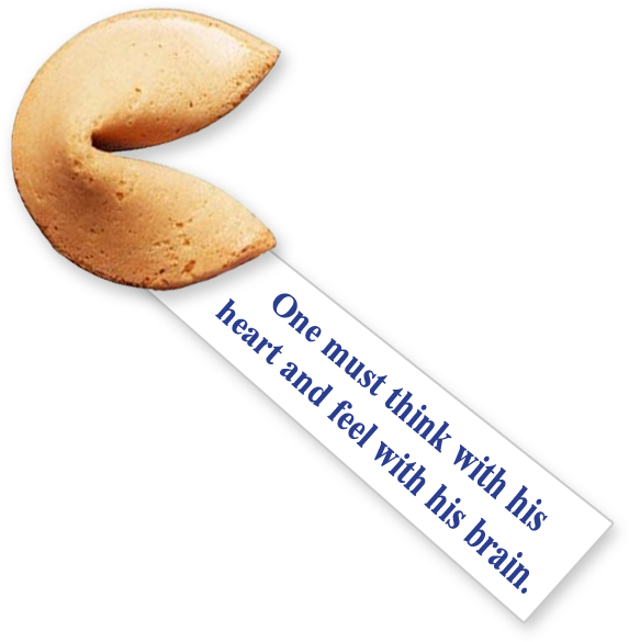 Fortune Cookie Wisdom Phrase PNG