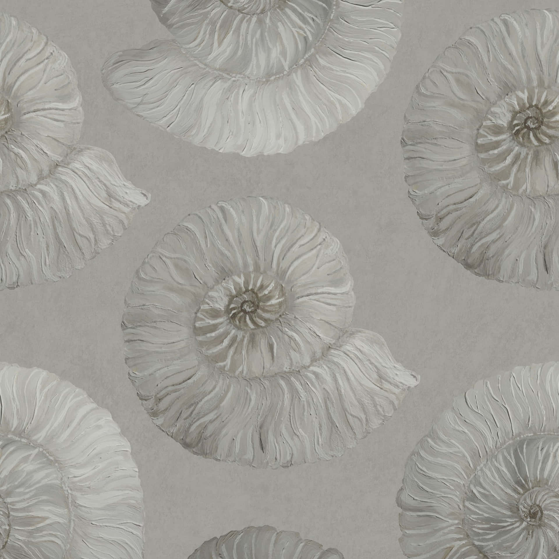 Fossilized Ammonite Spirals Wallpaper