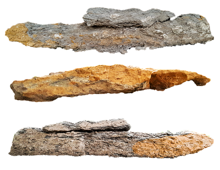 Fossilized Wood Specimens PNG