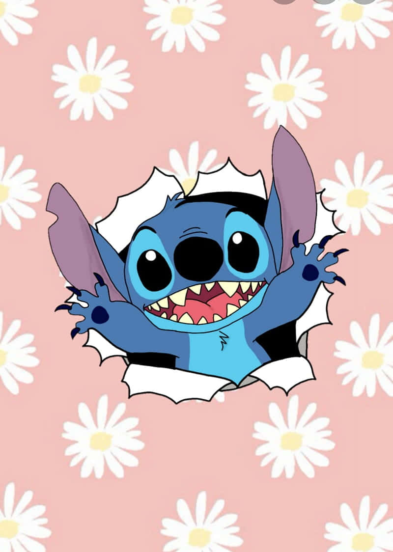 Fotocarine Di Stitch