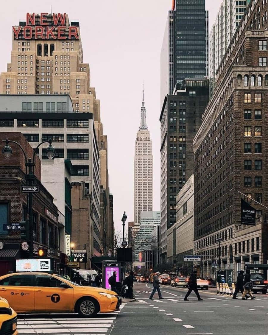 Fotoscon Estética De Nueva York.