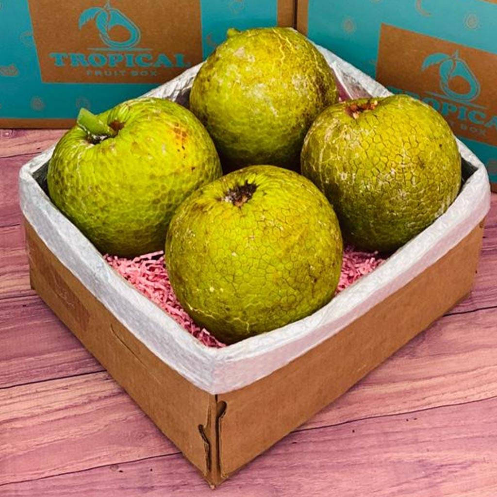 Fresh Breadfruit Harvest Displayed in A Box. Wallpaper