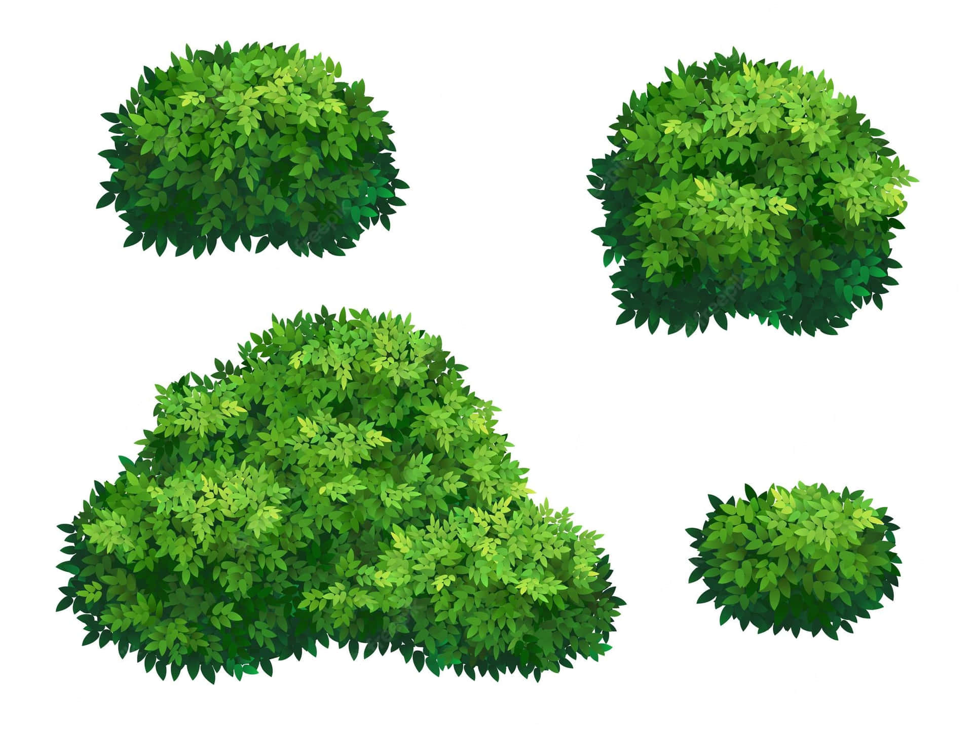 Four Green Wild Bushes Digital Art Wallpaper